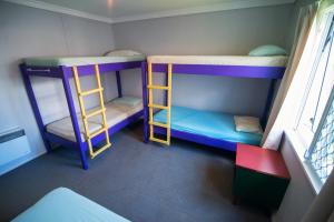 two bunk beds in a small room with a window at Centabay Lodge and Backpackers in Paihia