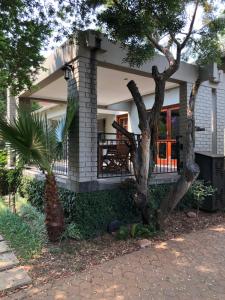 a house with a palm tree in front of it at Muckleneuk Guest House in Pretoria