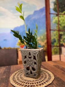 a vase with a plant in it sitting on a table at Moderne 3 Raum Altbau ETW bis 4 Gäste, Nähe Staatstheater, Parkplatz, Netflix, Vollausstattung in Cottbus