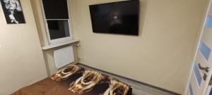 dwa zwierzęta na podłodze w pokoju z telewizorem w obiekcie Apartament CENTRUM w mieście Sosnowiec