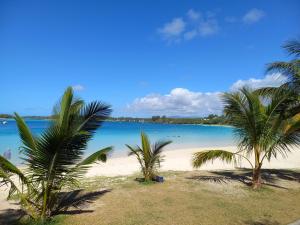 a beach with two palm trees and the ocean at Vacances Le Nereide Blue Bay in Blue Bay