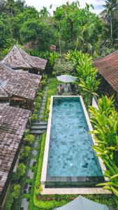 an overhead view of a swimming pool with an umbrella at Ari Cottages Ubud in Ubud
