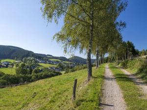 een onverharde weg met bomen aan de zijkant van een heuvel bij Ferienwohnung Dick in Schmallenberg