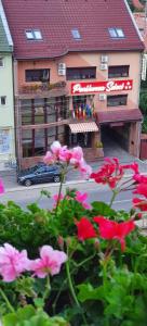 a view of a building with pink flowers in the foreground at Pensiunea Select in Arad