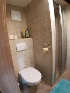 La petite salle de bains est pourvue d'une douche et de toilettes. dans l'établissement APPARTEMENT Michael, à Tamsweg