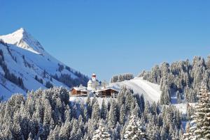 Hotel Garni Alpina v zimě