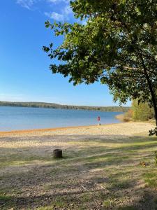 a beach with a tree and a body of water at DW_Bungalow am schönen Badesee Grünewalder Lauch in Lauchhammer