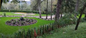 Ein Garten an der Unterkunft DW Halicz