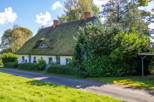a house with a thatched roof on a road at Lütt Stuuv am Dorfanger in Barth