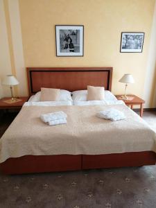 sypialnia z dużym łóżkiem z 2 poduszkami w obiekcie Apartmany Cesky Dvur w Mariańskich Łaźniach