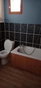 a bathroom with a toilet and a tub and a sink at Maison cœur tarentaise in Les Chapelles