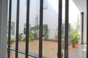 een uitzicht door een poort van een binnenplaats met potplanten bij SunShine San Pablo in Córdoba