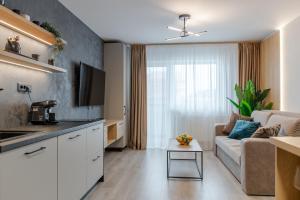 a kitchen and a living room with a couch at FLH - The Nest in Şelimbăr