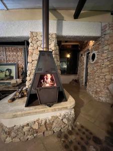 un horno de piedra en una habitación con una pared de piedra en Limonaia in Salento en Marittima