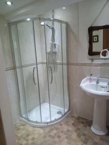 a bathroom with a shower and a sink at Charming, wonderfully cosy one bedroom apartment in Giggleswick