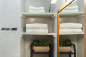 a bathroom with towels and plants on shelves at Mirador del Teatro Romano in Zaragoza