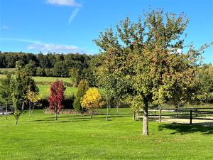 un árbol en medio de un campo verde en Le Gîte Marguerite Calvados I vue panoramique sur la Normandie face au CERZA, en Hermival-les-Vaux 29 fotos más