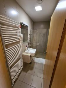 uma casa de banho com um lavatório, um chuveiro e um espelho. em Villa Mari - apartma št. 6 em Maribor