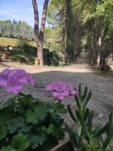 Aed väljaspool majutusasutust Antico Podere Il Bugnolo