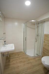 W łazience znajduje się prysznic, umywalka i toaleta. w obiekcie apartmany Zak w mieście Frymburk +9 zdjęć