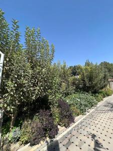 Gallery image of Stariy Marokand in Samarkand +16 photos