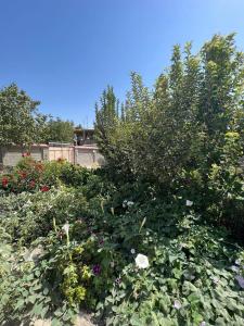 Gallery image of Stariy Marokand in Samarkand