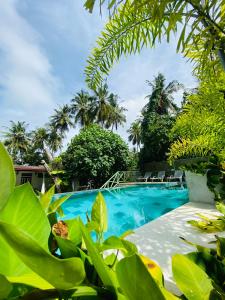 The swimming pool at or close to Nature Villa Unawatuna