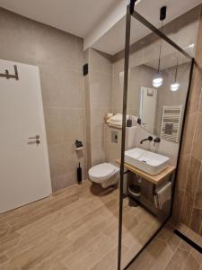 克卢日-纳波卡City Apartment Anton Pann的浴室里有马桶、洗手池和镜子。 更多9张照片