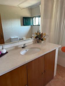 um balcão de casa de banho com um lavatório e um espelho em Refúgio da Légua em Marco de Canavezes