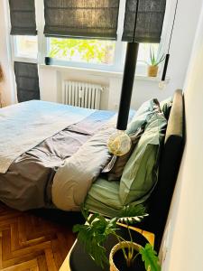 a bed in a room with a window and a plant at Sofia Downtown Boutique Apartment in Sofia
