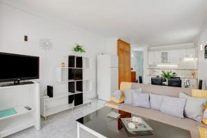salon z kanapą i telewizorem w obiekcie Apartamento Mertxe w Aronie