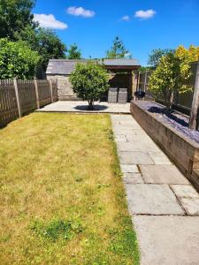 a backyard with a fence and a yard with a tree at 8 Duke Street - Launceston Cornwall in Launceston
