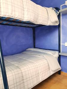 2 beliches num quarto com uma parede azul em Albergue la Fontanina em Mata de Alcántara