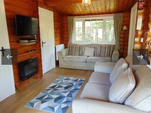 a living room with a couch and a television at Mountain View Log Cabin - Snowdonia in Tanygrisiau