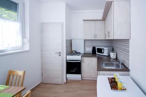 Kuchyň nebo kuchyňský kout v ubytování Helios Apartman Szeged
