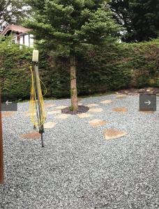 a group of yellow hoses on the ground in front of a tree at Mountain View Log Cabin - Snowdonia in Tanygrisiau