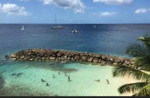 un groupe de personnes dans l'eau d'une plage dans l'établissement Pakehina skys, à Schœlcher