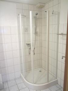 y baño con ducha y puerta de cristal. en Ferienwohnung Mause, en Medebach
