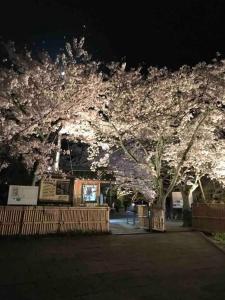 宿や　サニービレッジ外面的花园