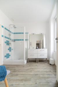 ヴィシーにあるGrande Maison Vichy - Maison ou Appartements en Centre villeのバスルーム(シャワー、大きな鏡付) +28枚の写真