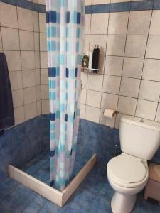La salle de bains est pourvue de toilettes et d'un rideau de douche. dans l'établissement Sofia's Apartment, à Skiathos Chora
