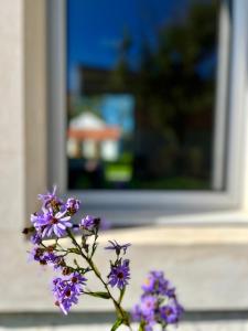 Un mazzo di fiori viola davanti a una finestra. di COC - Villa La Finca ad Audembert