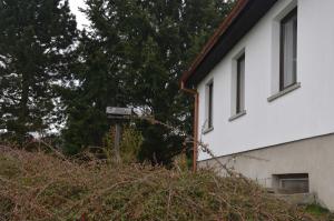 a white building with windows next to a tree at Ferienhaus Harztraum in Sorge