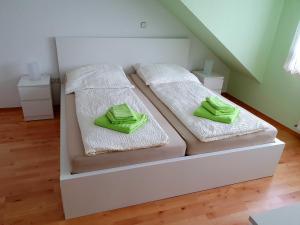 - 2 lits dans une chambre avec des oreillers verts dans l'établissement Ferienhaus Döring, à Hasselfelde