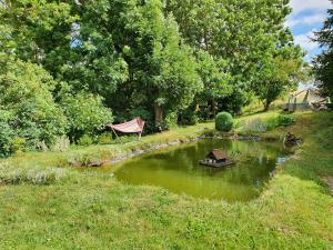 a pond with a bench and a hammock in a yard at Ferienhaus Gundel Hohmann in Elbingerode