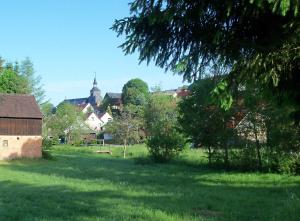 un campo de hierba verde con un pueblo en el fondo en Ferienwohnung "Loni", en Benneckenstein