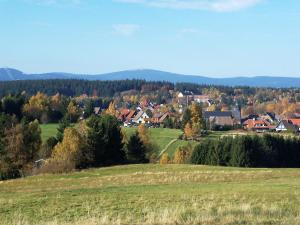 a green field with houses and trees in the background at Ferienwohnung "Loni" in Benneckenstein