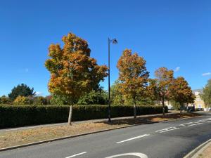 an empty street with trees and a street light at Modern Spacious Flat In Ipswich - Sleeps 6 - Parking in Freston