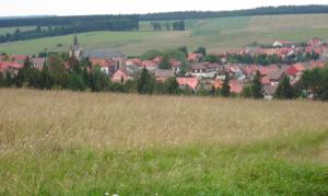a field of grass with a town in the background at Ferienwohnung Nichau in Hasselfelde