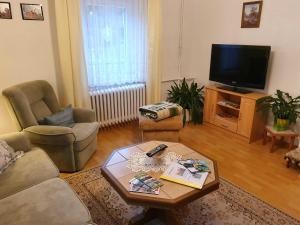 a living room with a couch and a tv at Ferienwohnung Walpurga in Elend